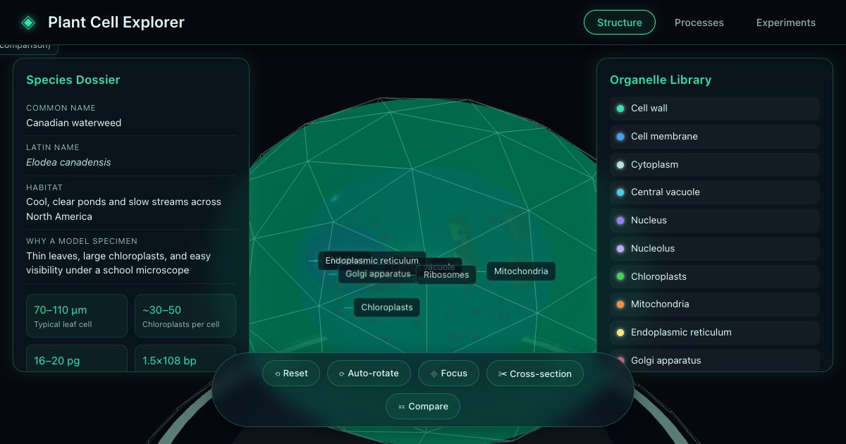 Screenshot of the Plant Cell demo